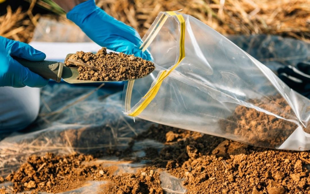 Soil is being put into a plastic bag to be tested before construction begins.